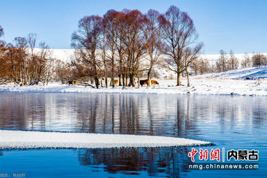 兴安岭上冬来早 阿尔山中雪无暇